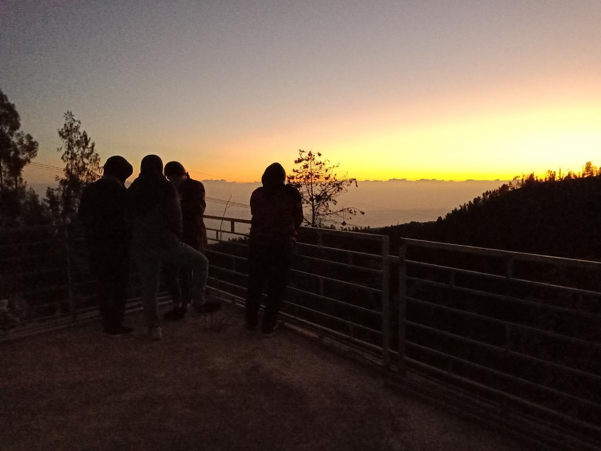 Homestay Bromo Backpacker Tosari *